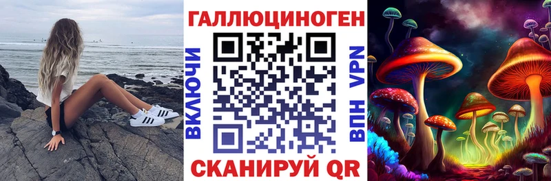 Галлюциногенные грибы GOLDEN TEACHER  Купить  Липецк
